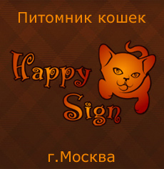Питомник бурманских кошек